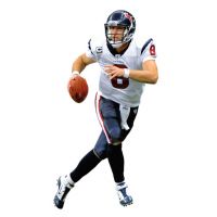 Matt Schaub Fathead Teammate