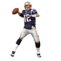 Tom Brady Fathead Teammate